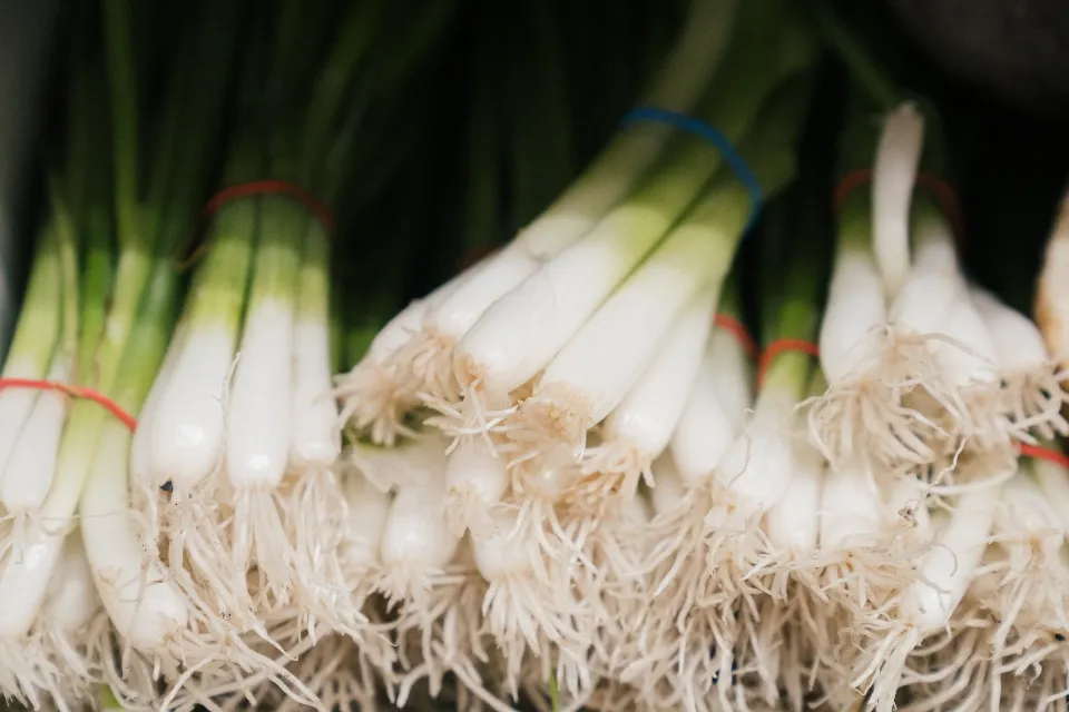 How to Store Green Onions in the Fridge? Easily Done!